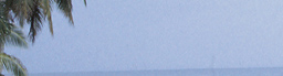 www.traveljungle.co.uk